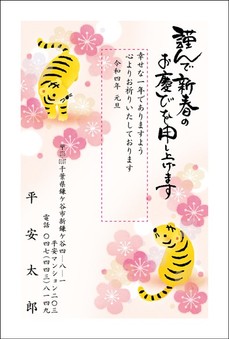 光沢感をプラス