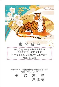 スッキリカラー