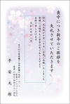 桜-1