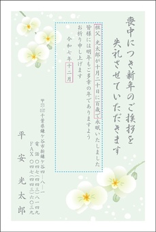 胡蝶蘭-1