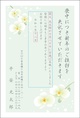 胡蝶蘭-1