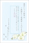 胡蝶蘭-2