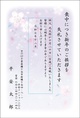 桜-1