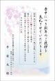 桜-2