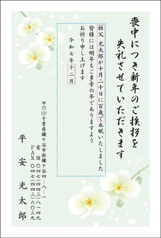胡蝶蘭-1