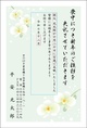 胡蝶蘭-1
