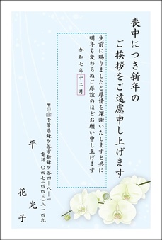 胡蝶蘭-2