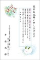 福寿草