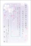 桜-1