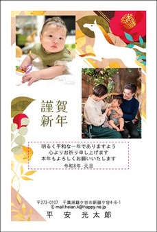 2･3画面 タイプ