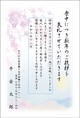 桜-2