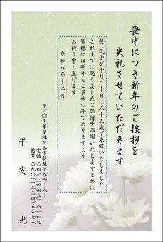 白菊