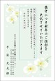胡蝶蘭-1