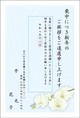 胡蝶蘭-2
