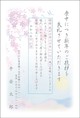 桜-2