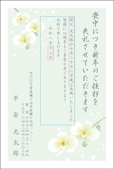 胡蝶蘭-1