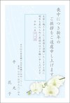 胡蝶蘭-2