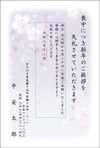 桜-1