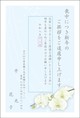 胡蝶蘭-2