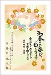 金色印刷(文章固定)