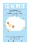 ネット限定カラーデザイン