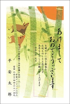 ネット限定カラーデザイン