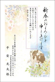 パール紙の華やかさ