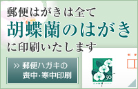 郵便はがきは全て胡蝶蘭のはがきに印刷いたします
