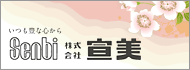 宣美